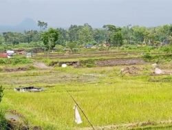 Lapor Komandan : Tambang Pasir Yang Diduga Belum Lengkapi Perizinan Di Soso  Kecamatan Gandusari Yang Terus Menggeliat merusak Alam