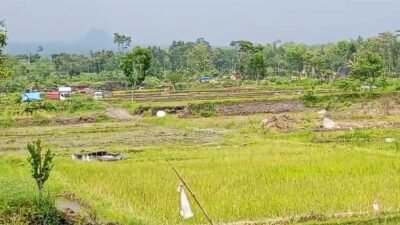 Lapor Komandan : Tambang Pasir Yang Diduga Belum Lengkapi Perizinan Di Soso  Kecamatan Gandusari Yang Terus Menggeliat merusak Alam