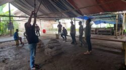 Polres Nganjuk Tindak Lanjut Dugaan Sabung Ayam di Bagor