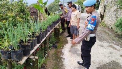 Dukung Program Ketahanan Pangan, Polsek Sawahan Pantau Pemanfaatan Lahan Pekarangan