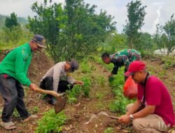 Polsek Ngetos Dukung Ketahanan Pangan dengan Pemanfaatan Lahan Perkarangan