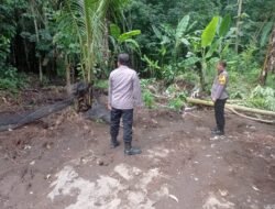 Antisipasi Banjir Susulan, Kapolsek Plosoklaten Tinjau Lokasi Tanggul Jebol di Dusun Pulerejo