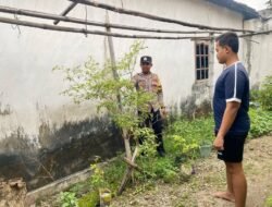 Pantau Tanaman Cabai, Polsek Loceret Dukung Ketahanan Pangan Warga