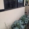 Polsek Patianrowo Pantau Perkembangan Tanaman Sayur Dukung Ketahanan Pangan