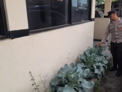 Polsek Patianrowo Pantau Perkembangan Tanaman Sayur Dukung Ketahanan Pangan