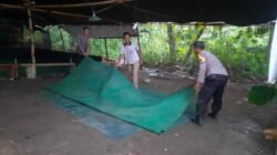 Bongkar Arena Sabung Ayam di Bagor, Polisi Bergerak Cepat Tindaklanjuti Aduan Warga
