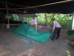 Bongkar Arena Sabung Ayam di Bagor, Polisi Bergerak Cepat Tindaklanjuti Aduan Warga
