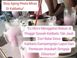 Es Moni Menggeliat Bebas di Pinggir Sawah Kalibelo Tak Jauh Dari Balai Desa Kalibelo-Gampengrejo Luput Dari Pantauan Ataukah Sengaja Dibiarkan