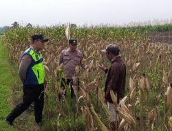 Dukung Ketahanan Pangan, Polisi Kediri Dialogis dengan Petani
