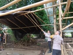 Tegas Berantas Perjudian Polisi Bongkar Lima Arena Sabung Ayam di Jember