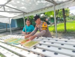 Gelorakan Swasembada Pangan, Polisi di Sidoarjo Ajak Warga Kembangkan Tanaman Hidroponik