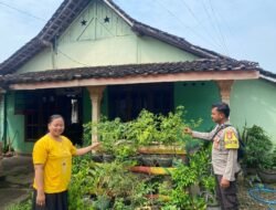 Dukung Ketahanan Pangan, Bhabinkamtibmas Ngepeh Pantau Pekarangan Bergizi Warga