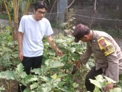 Polsek Pace Dukung Ketahanan Pangan Lewat Pemanfaatan Lahan Pekarangan
