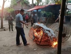 Polres Nganjuk Klarifikasi Dugaan Sabung Ayam di Desa Klurahan, Kecamatan Ngronggot