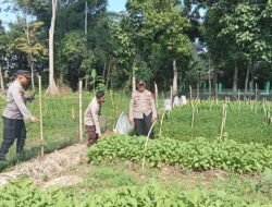 Polres Nganjuk Dukung Ketahanan Pangan Lewat Pemanfaatan Lahan Pekarangan di Desa Sonopatik