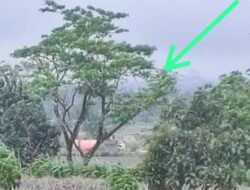 Terkesan Tebang Pilih Pemkab Kediri Dalam Menutup Tambang Galian C,Kenapa?