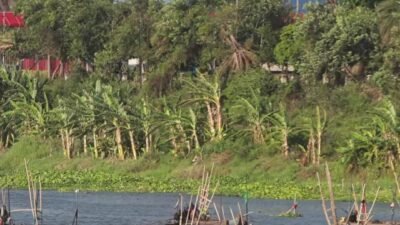 Penambangan Pasir Ilegal di Di Sungai Brantas Kediri Kembali Marak,Luput Pantauan APH & Penegak Perda Kota Kediri