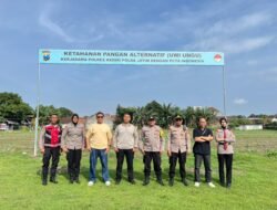 Ketahanan Pangan Alternatif, Uwi Ungu Polres Kediri Tumbuh Subur