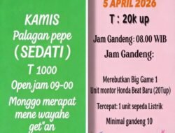 Di Sedati Sidoarjo, Jadwal Sabung Ayam Sudah Seperti Jadwal Bioskop.