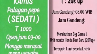 Di Sedati Sidoarjo, Jadwal Sabung Ayam Sudah Seperti Jadwal Bioskop.