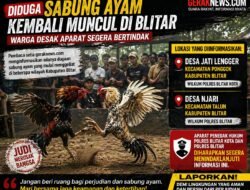Diduga Aktivitas Sabung Ayam Kembali Muncul di Blitar, Warga Minta Aparat Bertindak