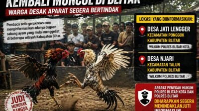 Diduga Aktivitas Sabung Ayam Kembali Muncul di Blitar, Warga Minta Aparat Bertindak