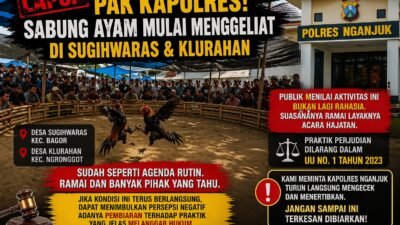 Lapor Pak Kapolres: Sabung Ayam Mulai Menggeliat Di Sugihwaras & Klurahan.