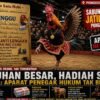 Sabung Ayam di Jatilengger Ponggok Blitar  Berlangsung Terbuka, Terkesan Di Biarkan