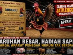 Sabung Ayam di Jatilengger Ponggok Blitar  Berlangsung Terbuka, Terkesan Di Biarkan