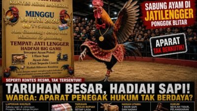 Sabung Ayam di Jatilengger Ponggok Blitar  Berlangsung Terbuka, Terkesan Di Biarkan
